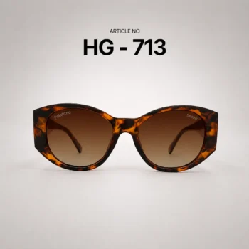 HG-713