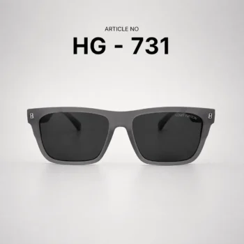 HG-731