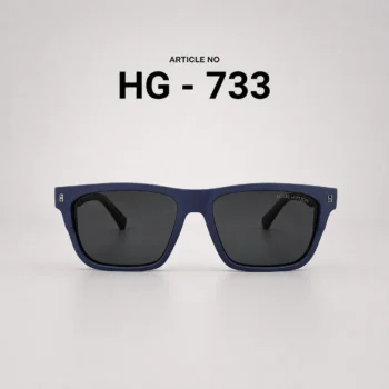 HG-733
