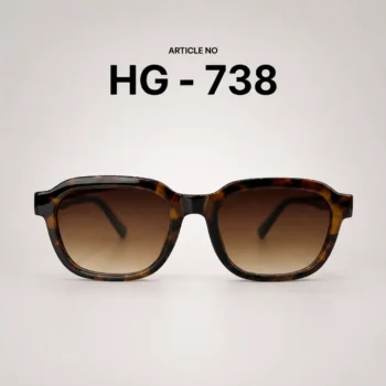 HG-738